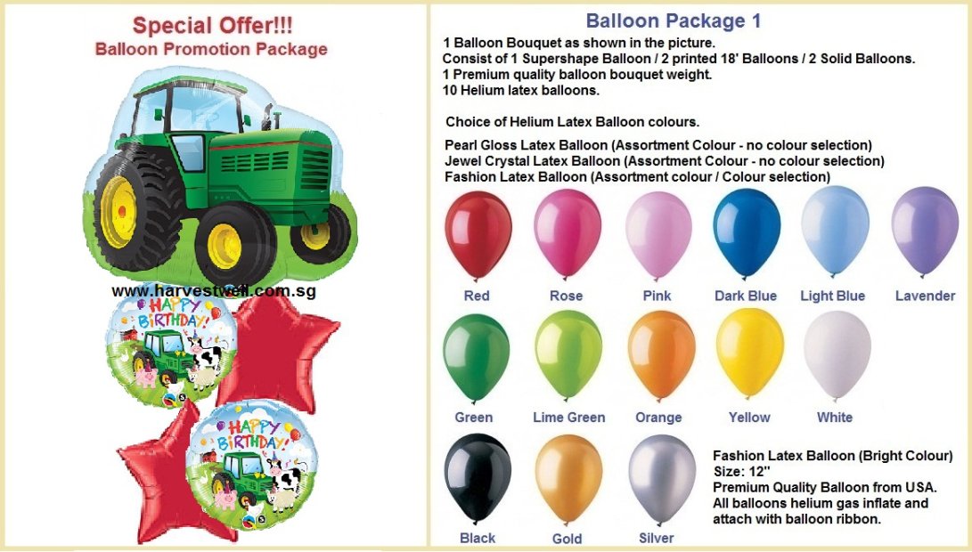 Barnyard Bash Birthday Molded Candle Singapore