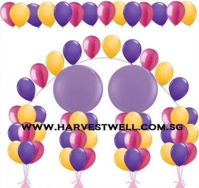 Premium Balloon Decoration Package A Singapore