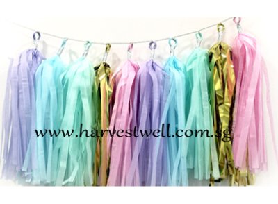 Pastel Unicorn Tassel Garland Singapore