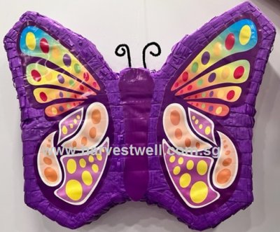 Butterfly 2D Shape Purple Pinata Singapore